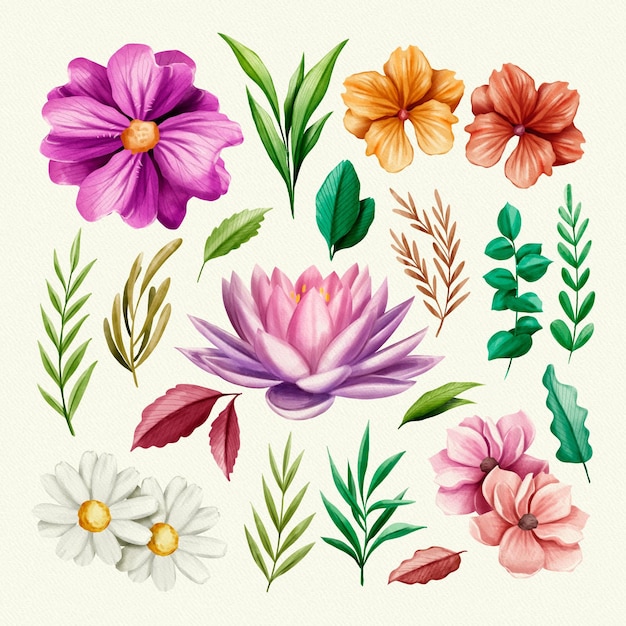 Collection of isolated flowers and leaves