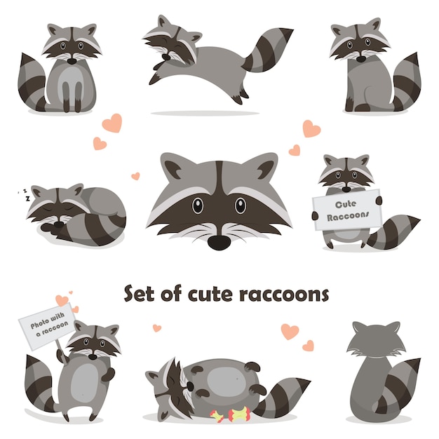 Vector collection isolated funny raccoon. emotion little raccoon. set cute raccoon. cartoon raccoon in children style.