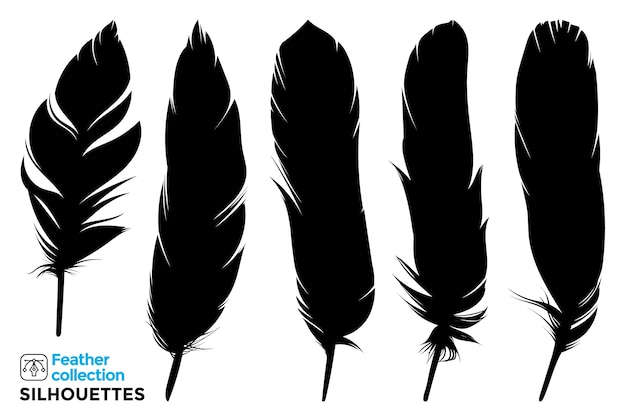 Collection of isolated silhouettes of bird feathers.