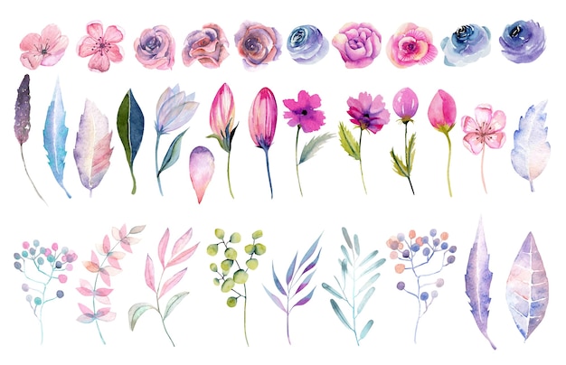 孤立した水彩ピンクのバラ、春の花、葉、枝のコレクション