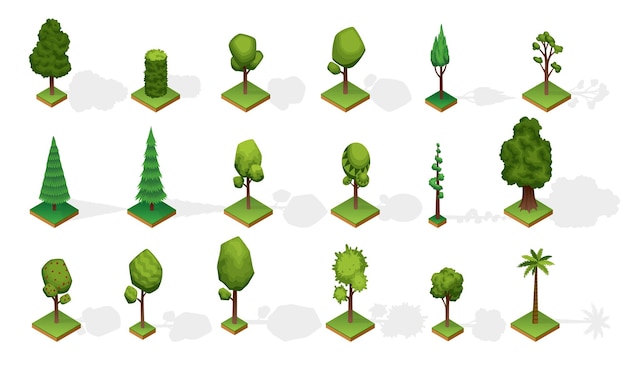 Vector collection isometric trees with shadow