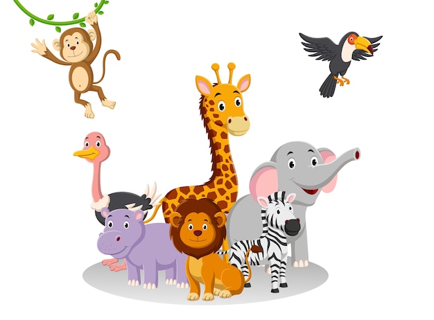 Collection of jungle animals