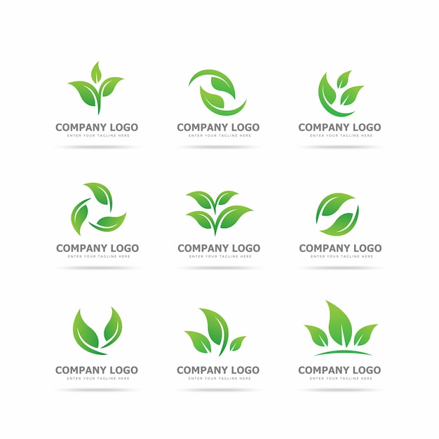 Collection of leaf logo design template