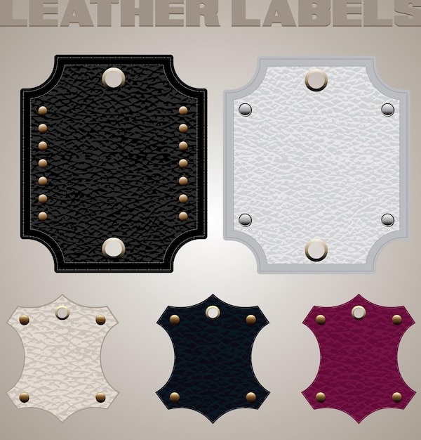 A collection of leather in different color theme in vector format