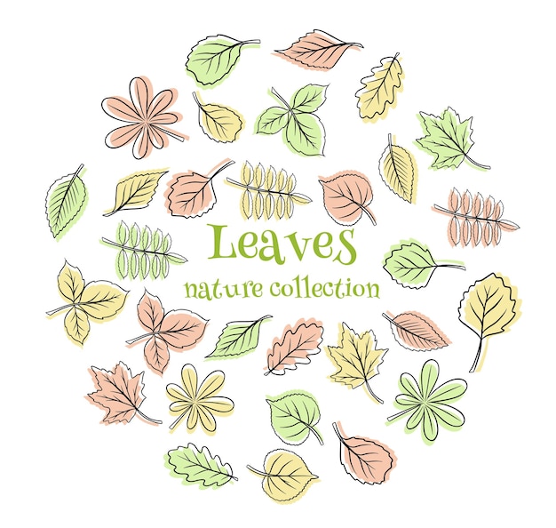 Collection leaves. leaves of different shapes. carved leaves. silhouette