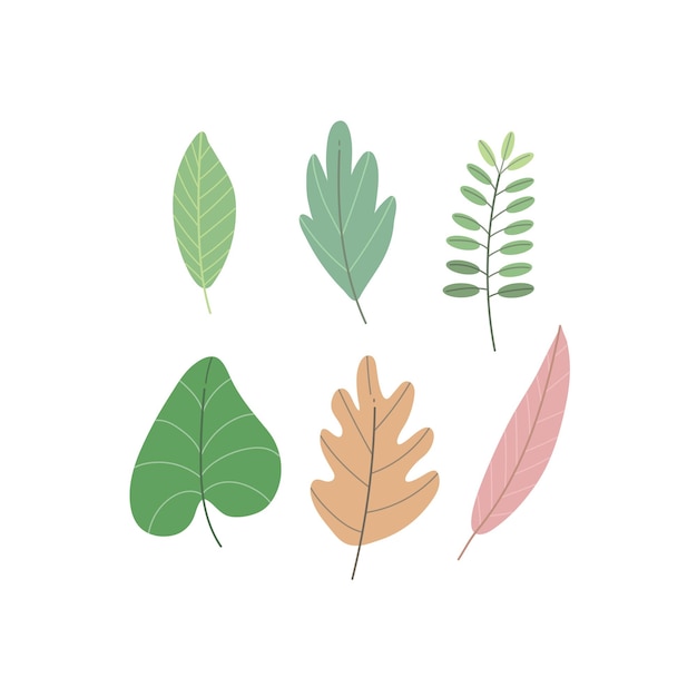 Collection of leaves in minimal design