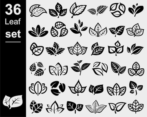 Collection leaves set Leafs collection icon Vector