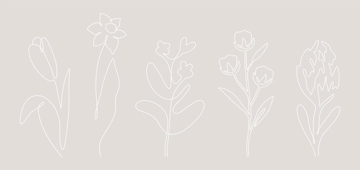 Vector collection of light white wild flowers