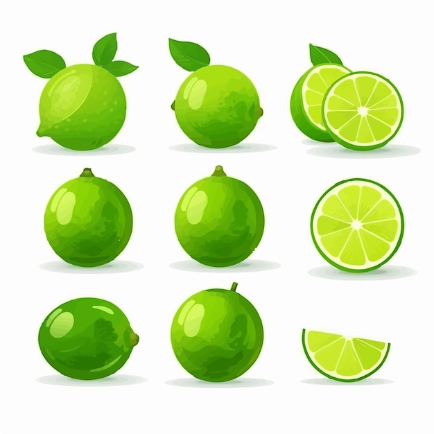 A collection of Lime vector graphics with different shades and intensities of green