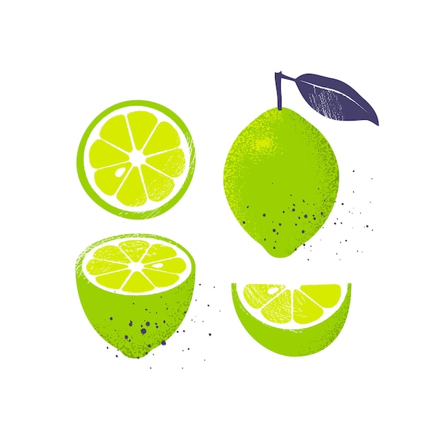 Vector collection of limes, isolated on white background.