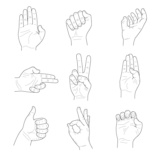 Collection of male hand gestures on white background Sketches vector