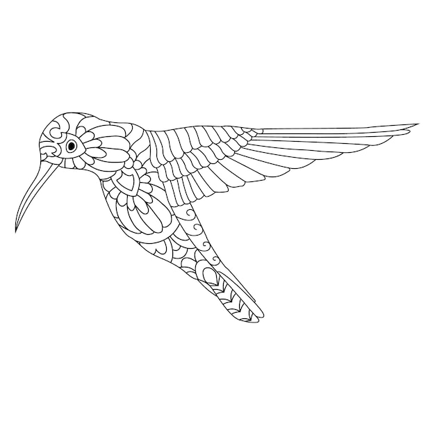 Vector collection of mandala coloring book page with the flying hummingbird