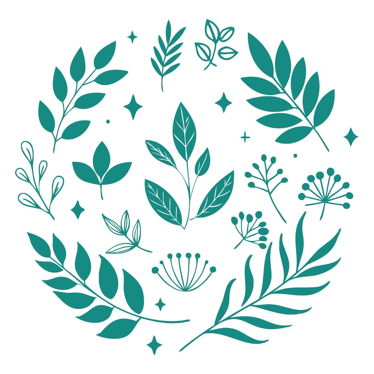 Vector collection of minimalistic botanical logo elements with handdrawn greenery