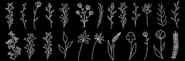 Collection of minimalistic simple floral elements. Graphic sketch. Fashionable tattoo design. Flowers, grass and leaves. Botanical natural elements. Vector illustration. Outline, line, doodle style.