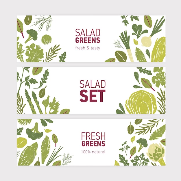 Vector collection of modern web banner templates with green vegetables, fresh salad leaves and spice herbs on white