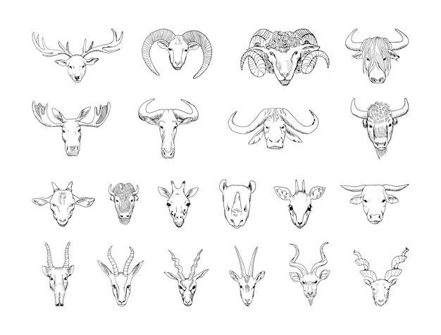 Collection of monochrome animal heads with horns in sketch style