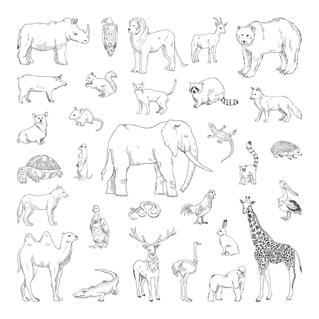 Collection of monochrome illustrations of animals in sketch style