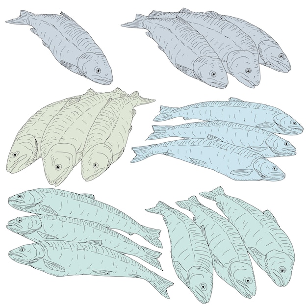 collection of natural marine fish sketch on white background