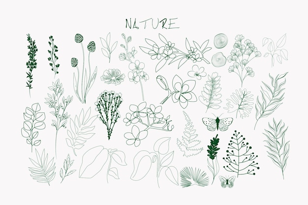 Vector collection of nature line art elements. herbs and flowers icons. editable vector illustration.