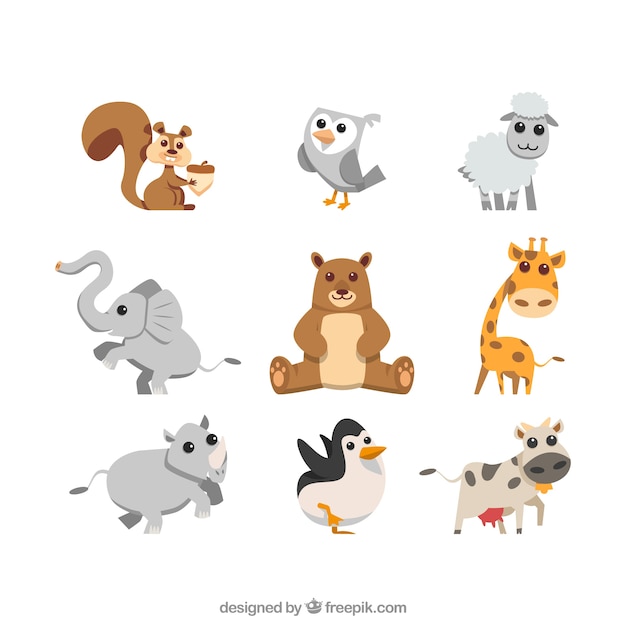 Collection of nice animals