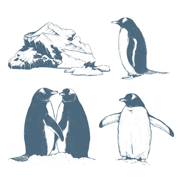 Collection north penguins and iceberg