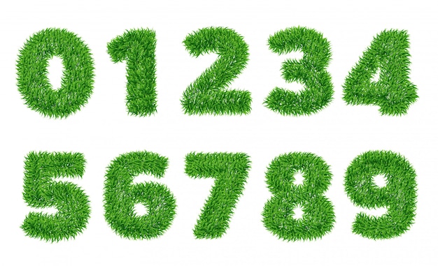 Collection of numbers in Green grass