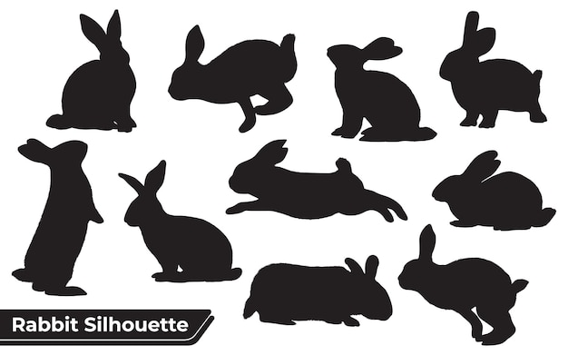Вектор Коллекция животных кролик в разных позициях