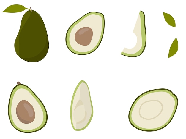 흰색 배경에 격리된 아보카도 삽화 모음 채식주의자를 위한 채식주의 식단
