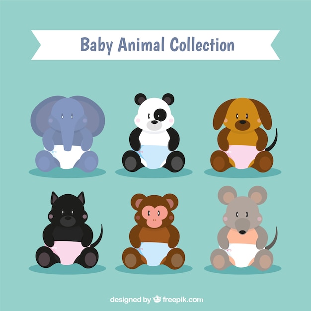 動物の赤ちゃんのコレクション