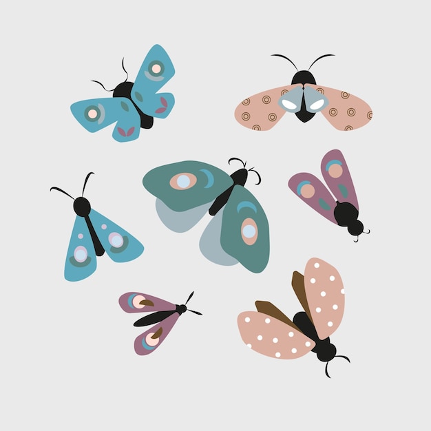 色の虫や蝶のコレクション
