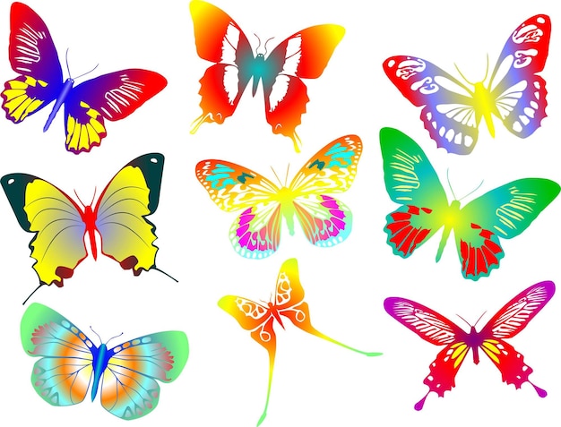 ベクトル 着色された蝶のベクトル図のコレクション