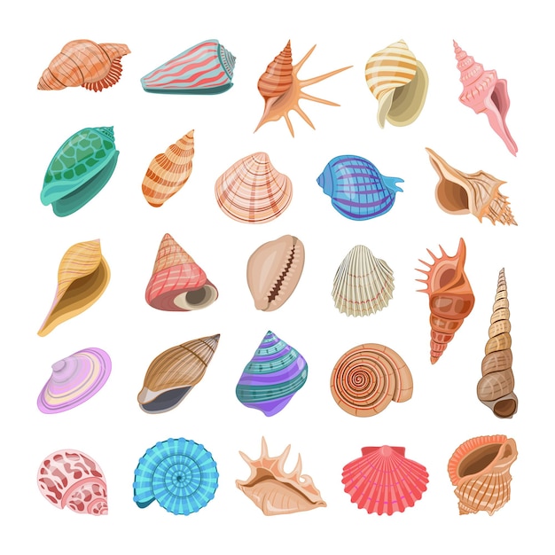 ベクトル カラフルでリアルな貝殻のコレクション。