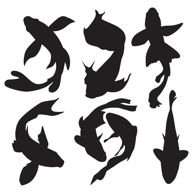 Вектор Коллекция силуэтов рыб кой в различных позах, изолированных на белом фоне