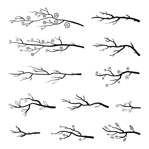 Вектор Коллекция ветвей деревьев и цветущих веток сакуры черные силуэты на белом фоне