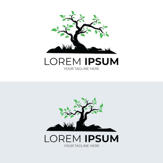 Коллекция шаблонов логотипа дерева