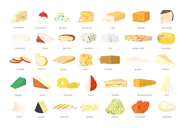 벡터 치즈의 종류 모음