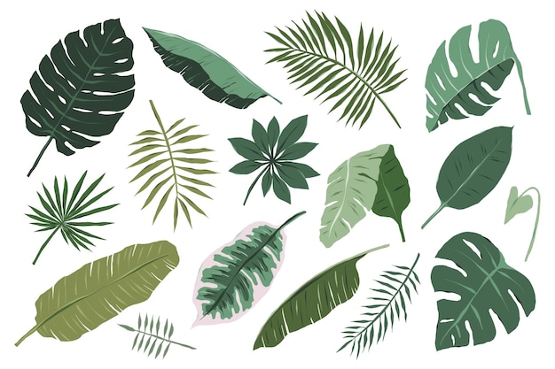 Коллекция различных иллюстраций тропических листьев на белом фоне