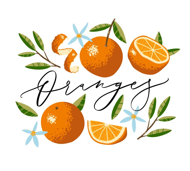 Vector collection of oranges, flowers and leaves isolated on white background.  calligraphy inscription.