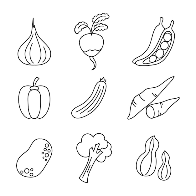 коллекция набросков иллюстрации векторного пучка овощей