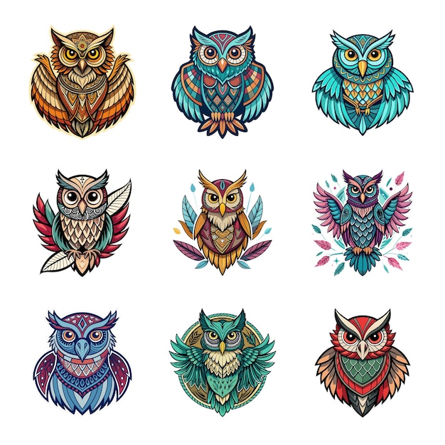 Vector a collection of owls one of which is called owl