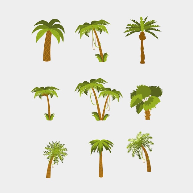 パームの木のコレクション 熱帯植物のイラスト