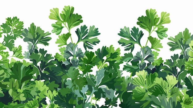 Vector a collection of parsley and parsley