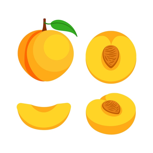 Vector collection of peach slices and whole fruits vector illustration