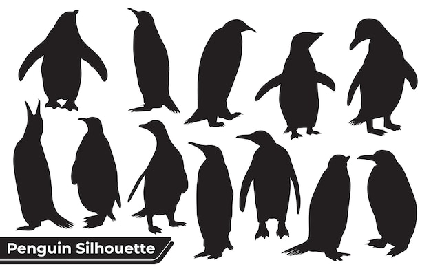 Collezione di silhouette di pinguini in diverse pose