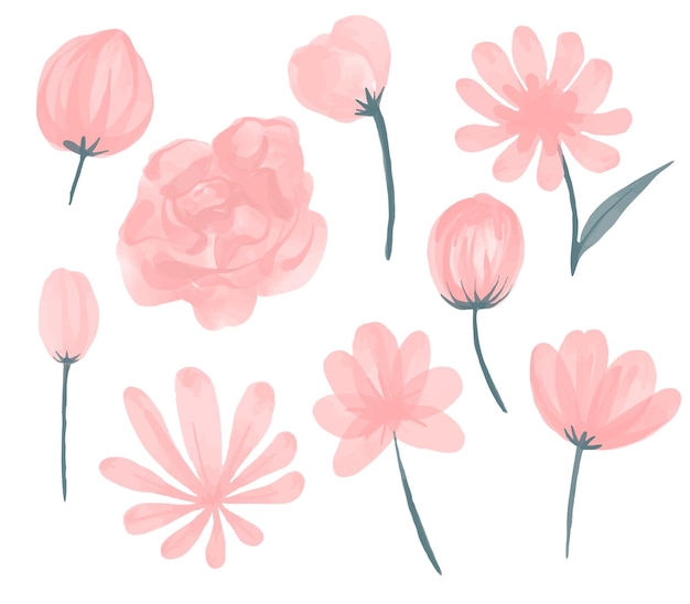 Collection of pink watercolor flowers for wedding arrangements