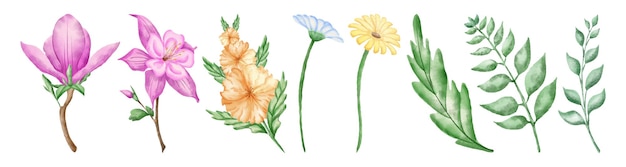 A collection of pink yellow flowers leaves painted in delicate watercolor