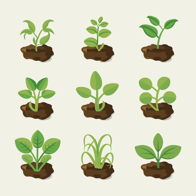 a collection of plant growth seedlings