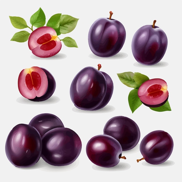 A collection of plums with green leaves and a purple plum.