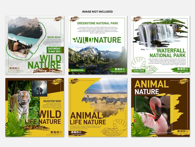 A collection of post templates with a very colorful wild nature theme