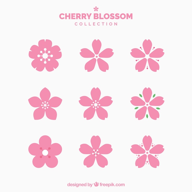 collection of pretty cherry blossoms